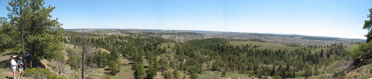 Ponder's Point View